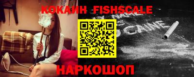 крисы Пенза