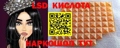 крисы Пенза