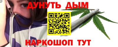 крисы Пенза