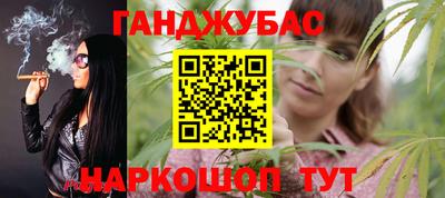 крисы Пенза