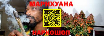 крисы Пенза