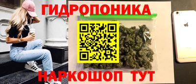 крисы Пенза