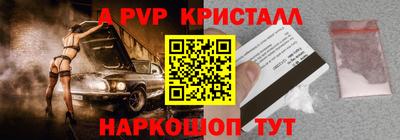 крисы Пенза