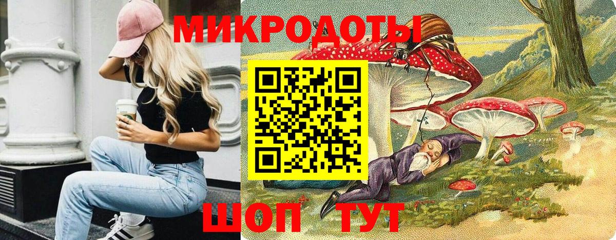 Галлюциногенные грибы Psilocybine cubensis Реутов