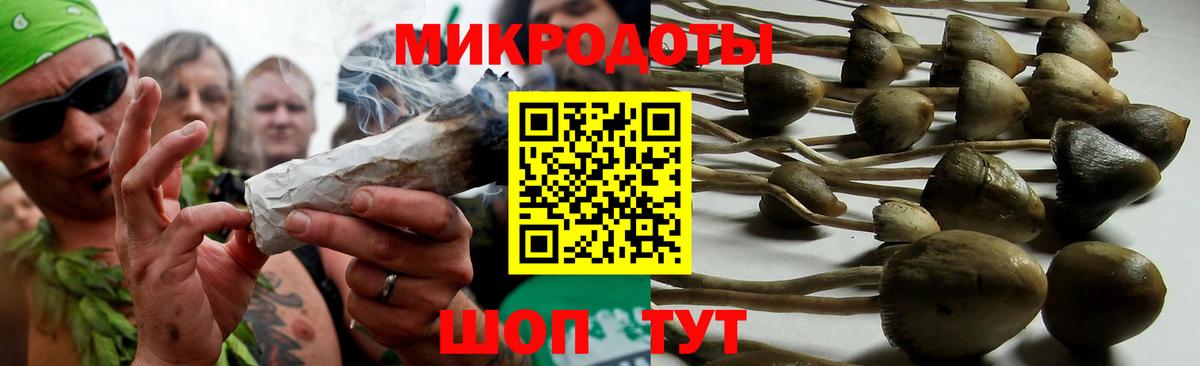 Реутов  Галлюциногенные грибы MAGIC MUSHROOMS  Вход с VPN 
